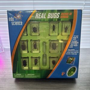 Edu Science REAL BUGS in Resin Insect Display 12-Pack Life Toys R Us NEW In Box